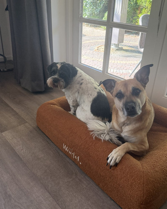 Twee honden liggen samen in een camel Woefel hondenmand