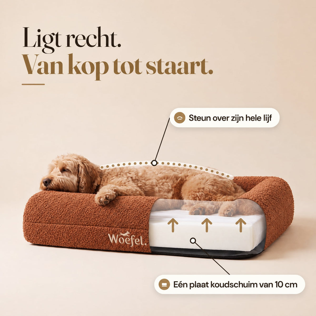Woefel Orthopedische Hondenmand - Camel