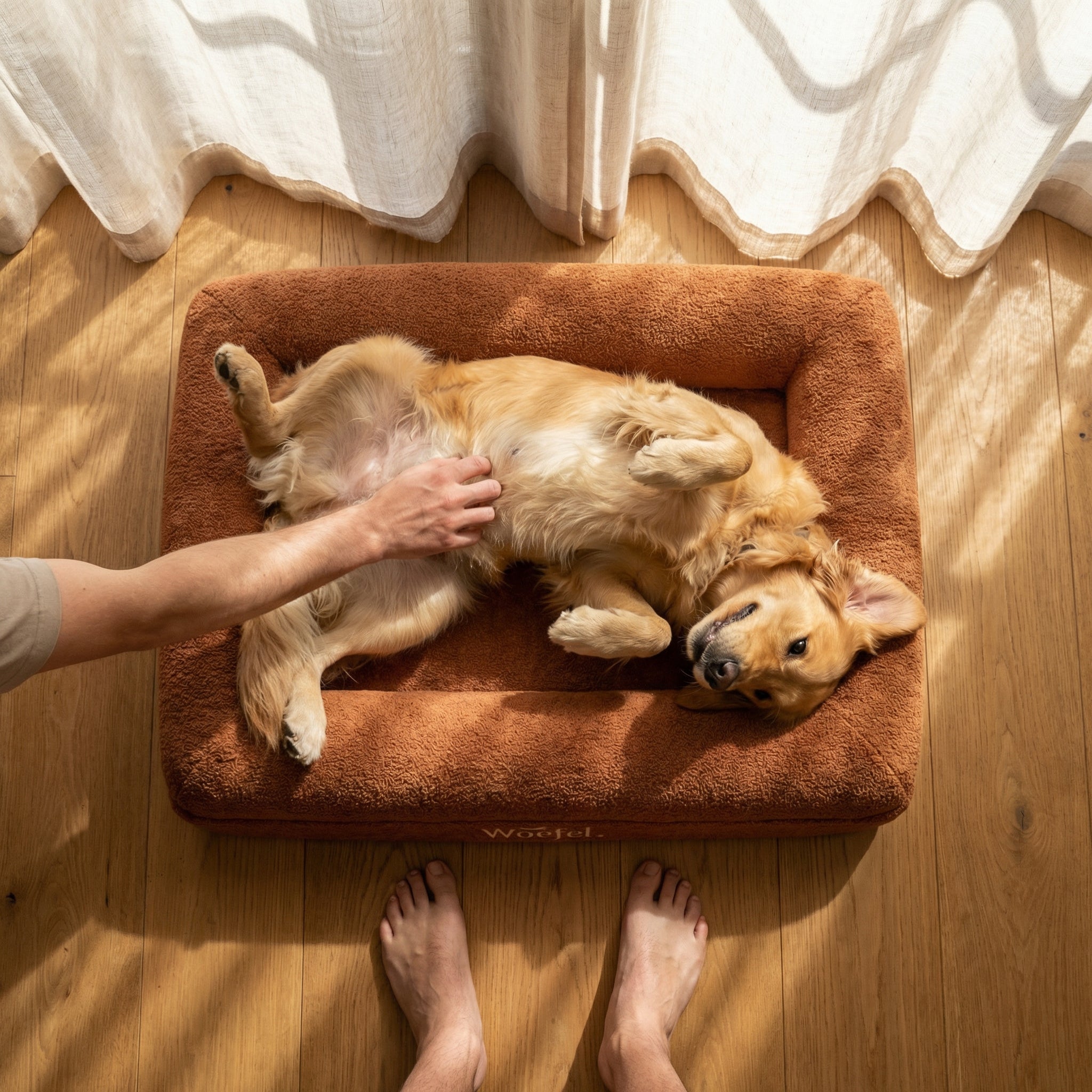 Woefel Orthopedische Hondenmand - Gewrichtsondersteunend Koudschuim - Puppy t/m Senior