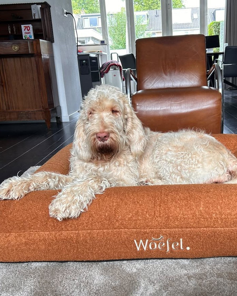 Klantfoto: grote labradoodle ligt languit in de camel Woefel hondenmand