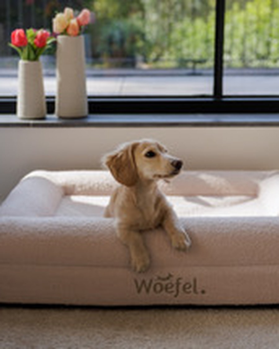 Woefel Orthopedische Hondenmand - Beige