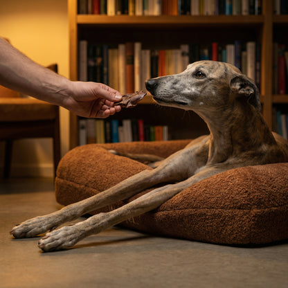 Woefel Premium Hondenmand - Camel