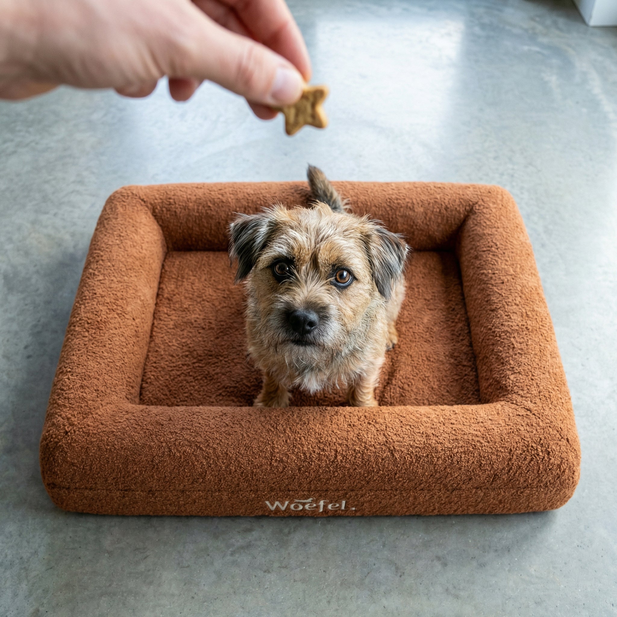 Woefel Premium Hondenmand - Camel